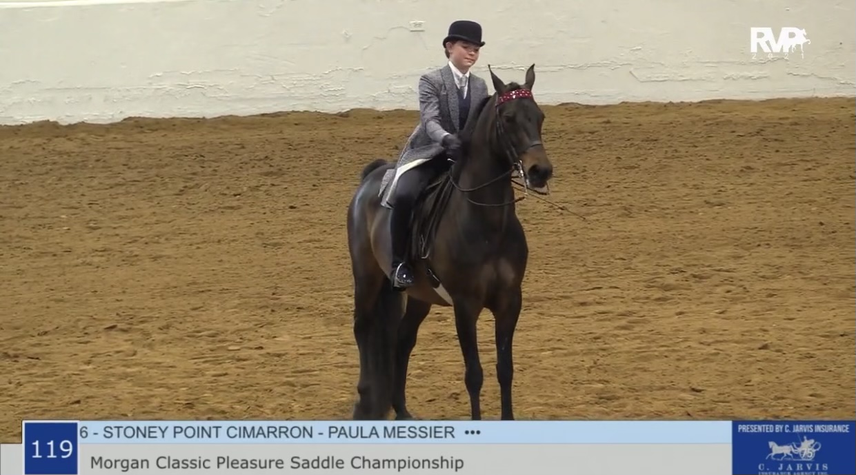 BB21 - Class 119 - Morgan Classic Pleasure Saddle Championship