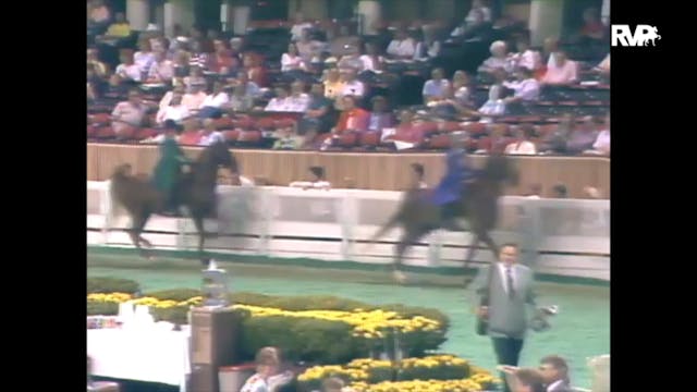 1989 WCHS Class 16 Three Gaited Junio...