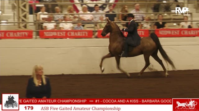 MW24 - Class 179 - ASB Five Gaited Am...