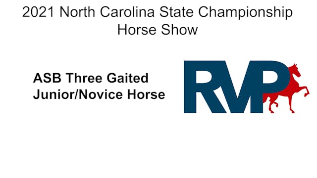 NCSC21 - Class 55 -ASB Three Gaited J...