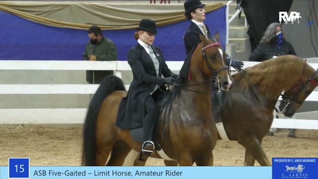 2021 Asheville Saddlebred Classic - W...