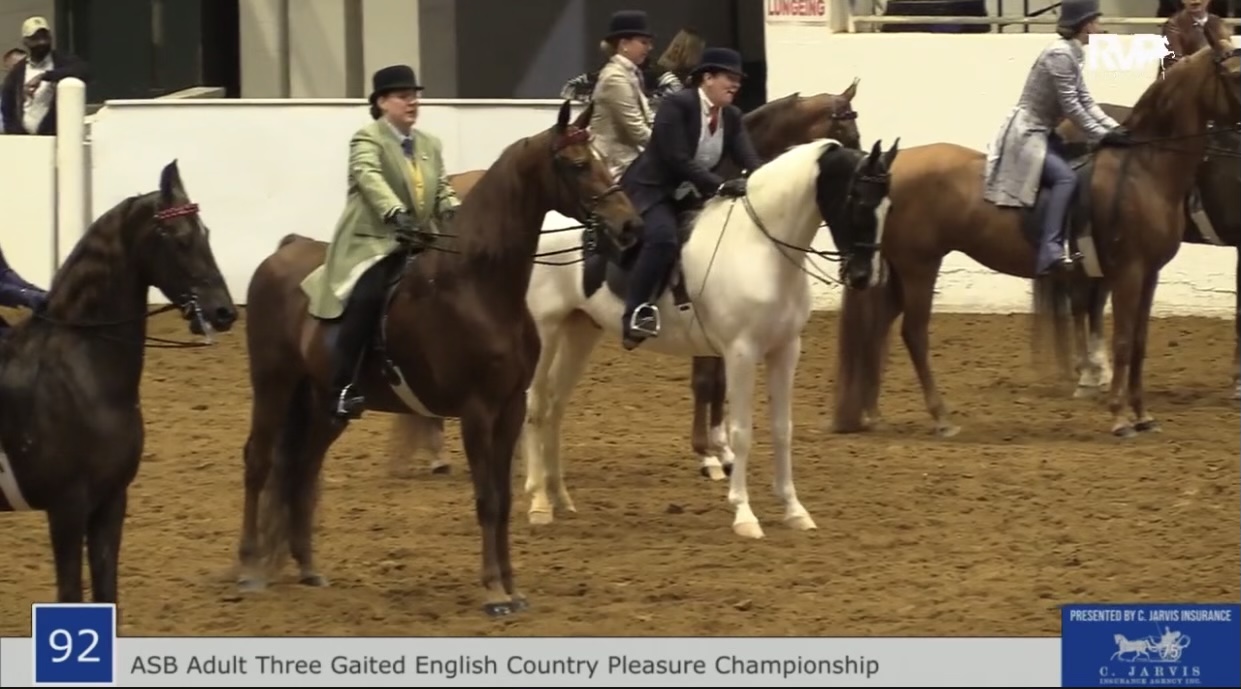 BB21 - Class 92 - ASB Adult Three Gaited English Country Pleasure Championship