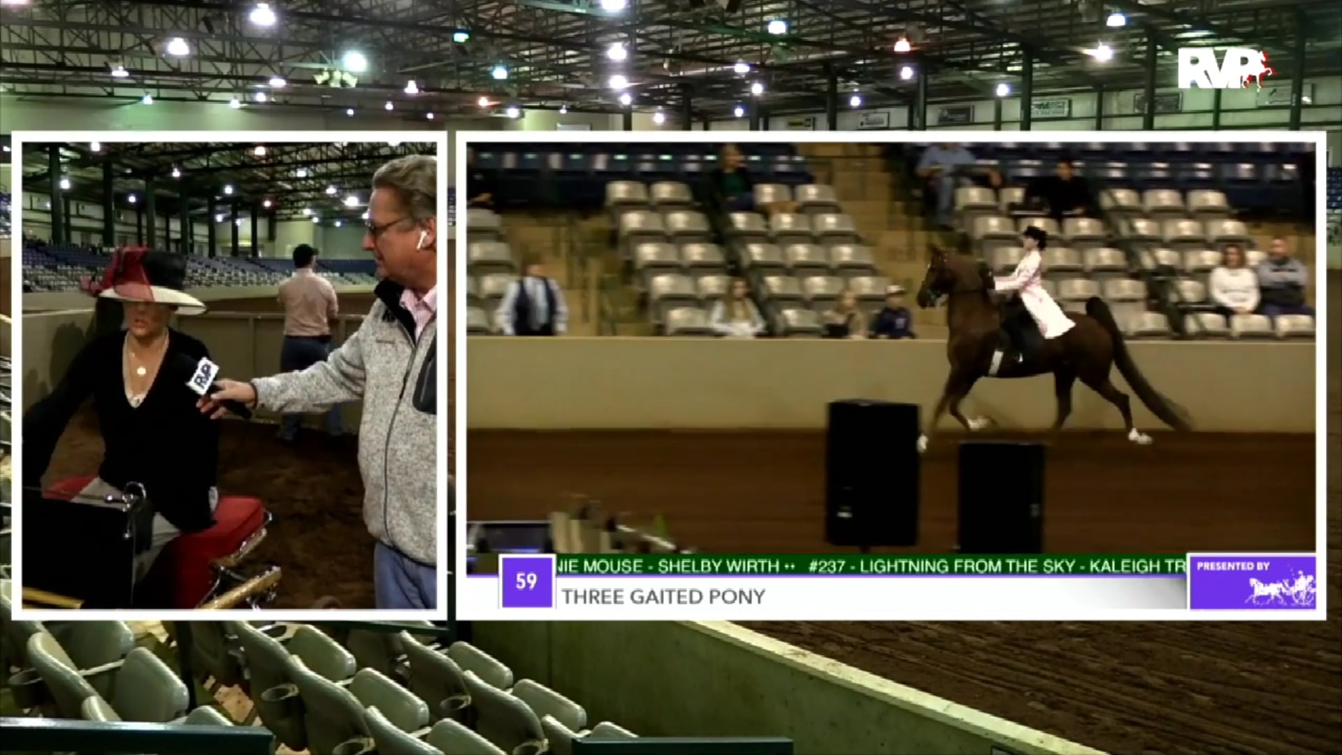 2018 Southern Saddlebred Fall Finale - Saturday Morning
