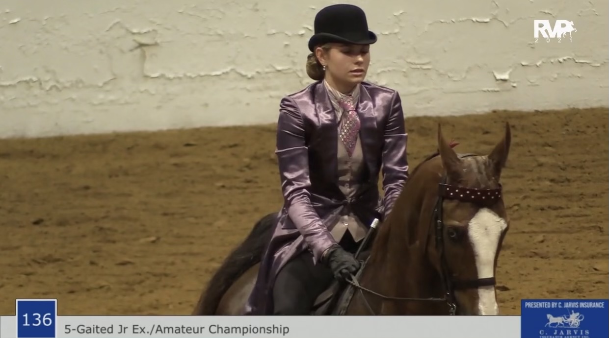 BB21 - Class 136 - Five Gaited Amateur-Junior Exhibitor Championship
