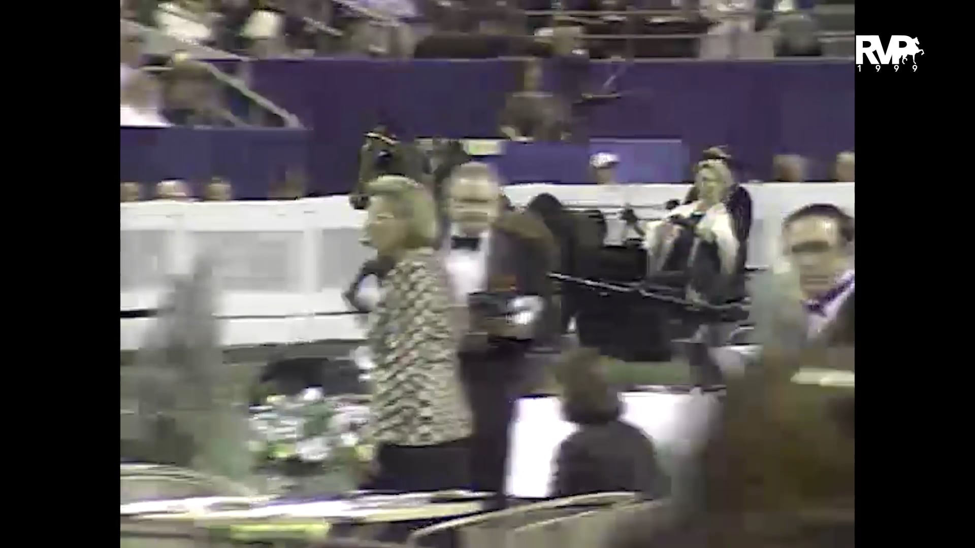 1999 WCHS - Class 141 Adult-Amateur Hackney-Harness Pony Pleasure Driving