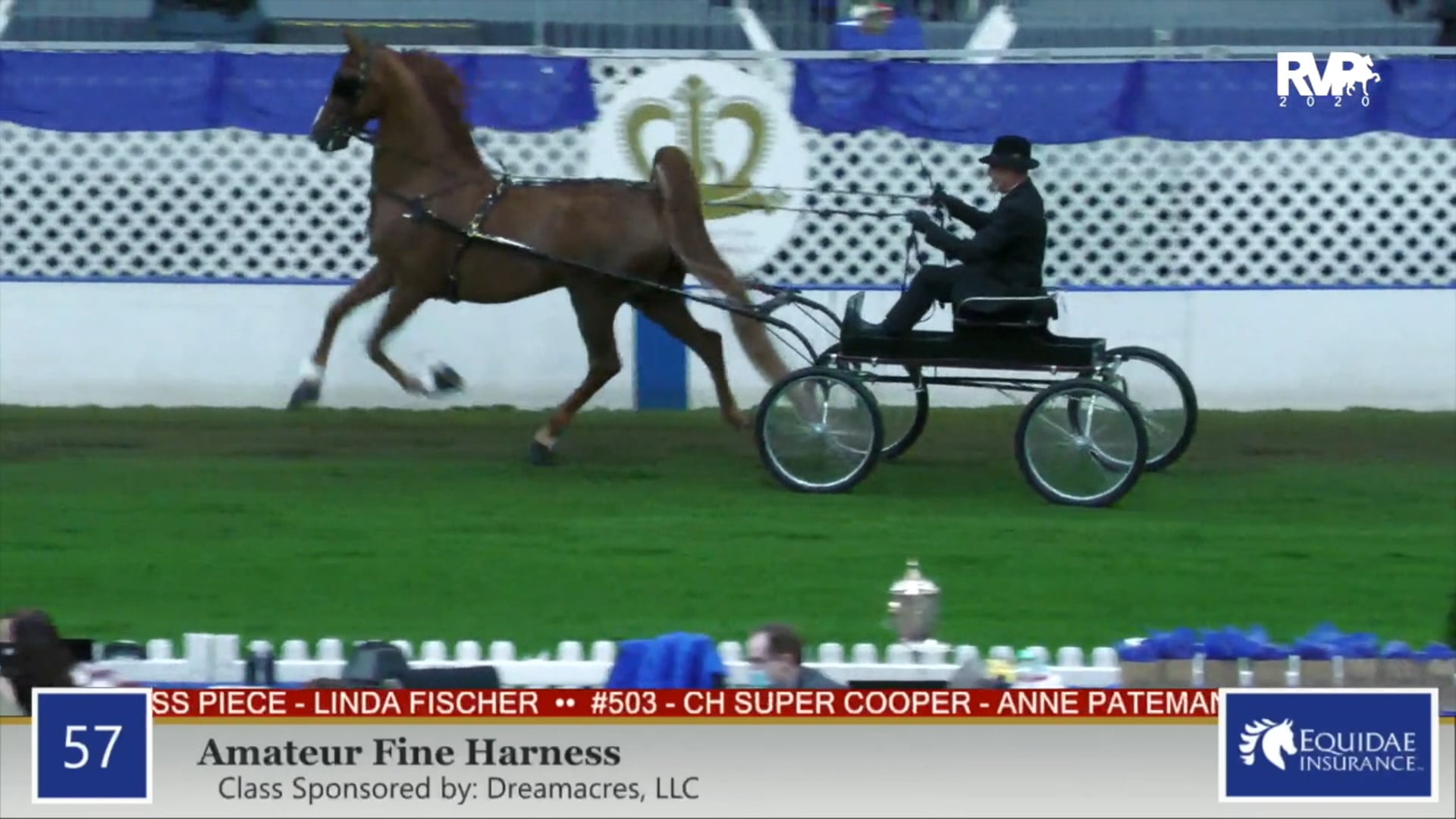 2020 AR - Class 57 Amateur Fine Harness