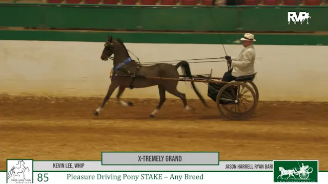 RSP26 - Class 85 - X-tremely Grand an...