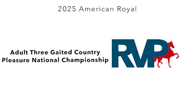 KC25 - Class 115 - Adult Three Gaited...