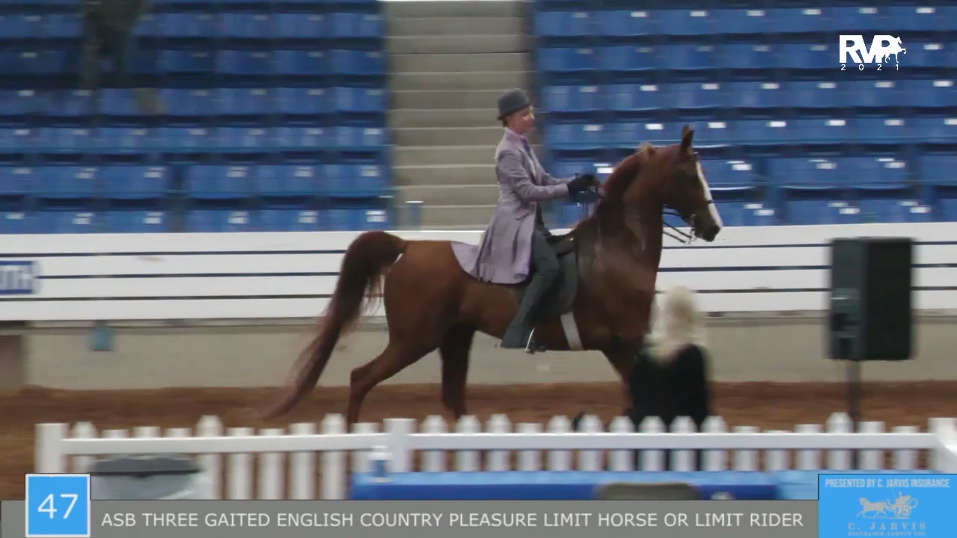 SSSF21 - Class 47 - ASB English Country Pleasure Limit Horse or Rider