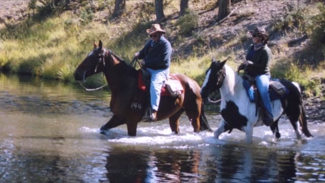 Helen and Jimmy Robertson - UPHA Larr...