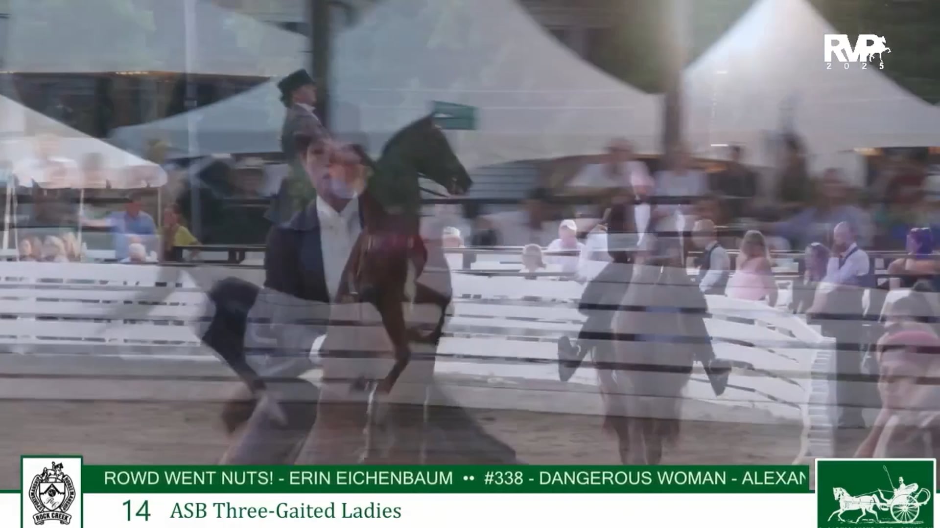 RC25 - Class 14 - ASB Three Gaited Ladies