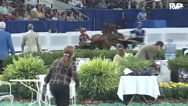 2010 World's Championship Horse Show ...