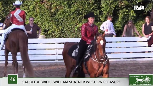 2017 RC - Class 46 Saddle & Bridle Wi...