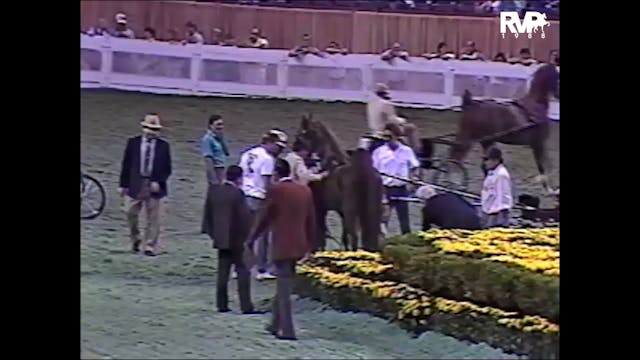 1988 WCHS - Class 142 Three Year Old ...