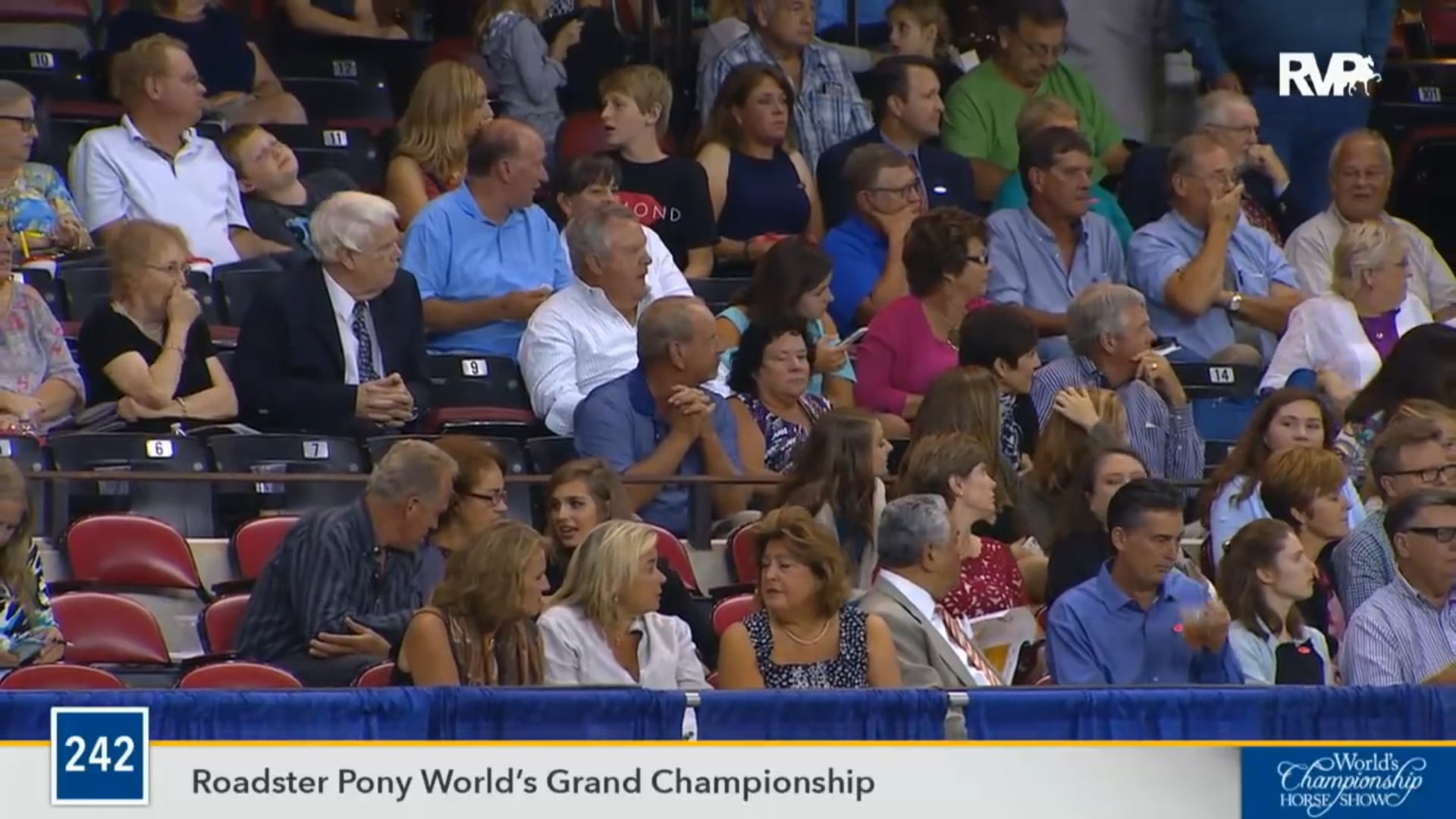 2016 WCHS - Class 242 Roadster Pony World's Grand Championship