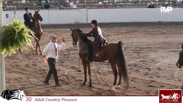 MCF25 - Class 30 - Adult Country Plea...