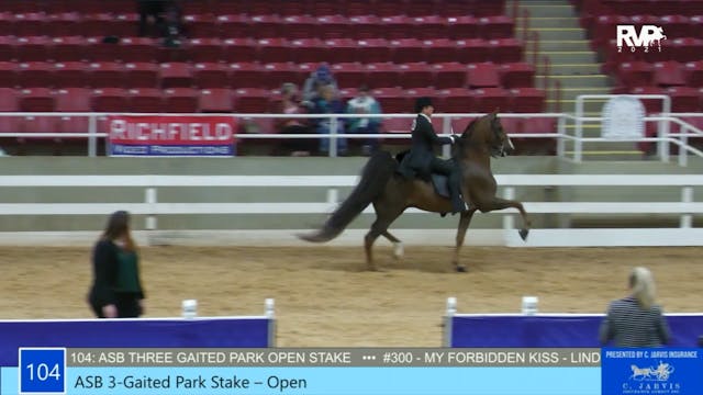 ASW21 - Class 104 - ASB Three Gaited ...