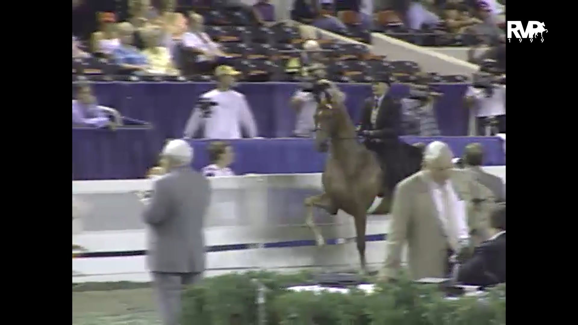 1999 WCHS - Class 214 ASB Open Park Horse Three Gaited Stake
