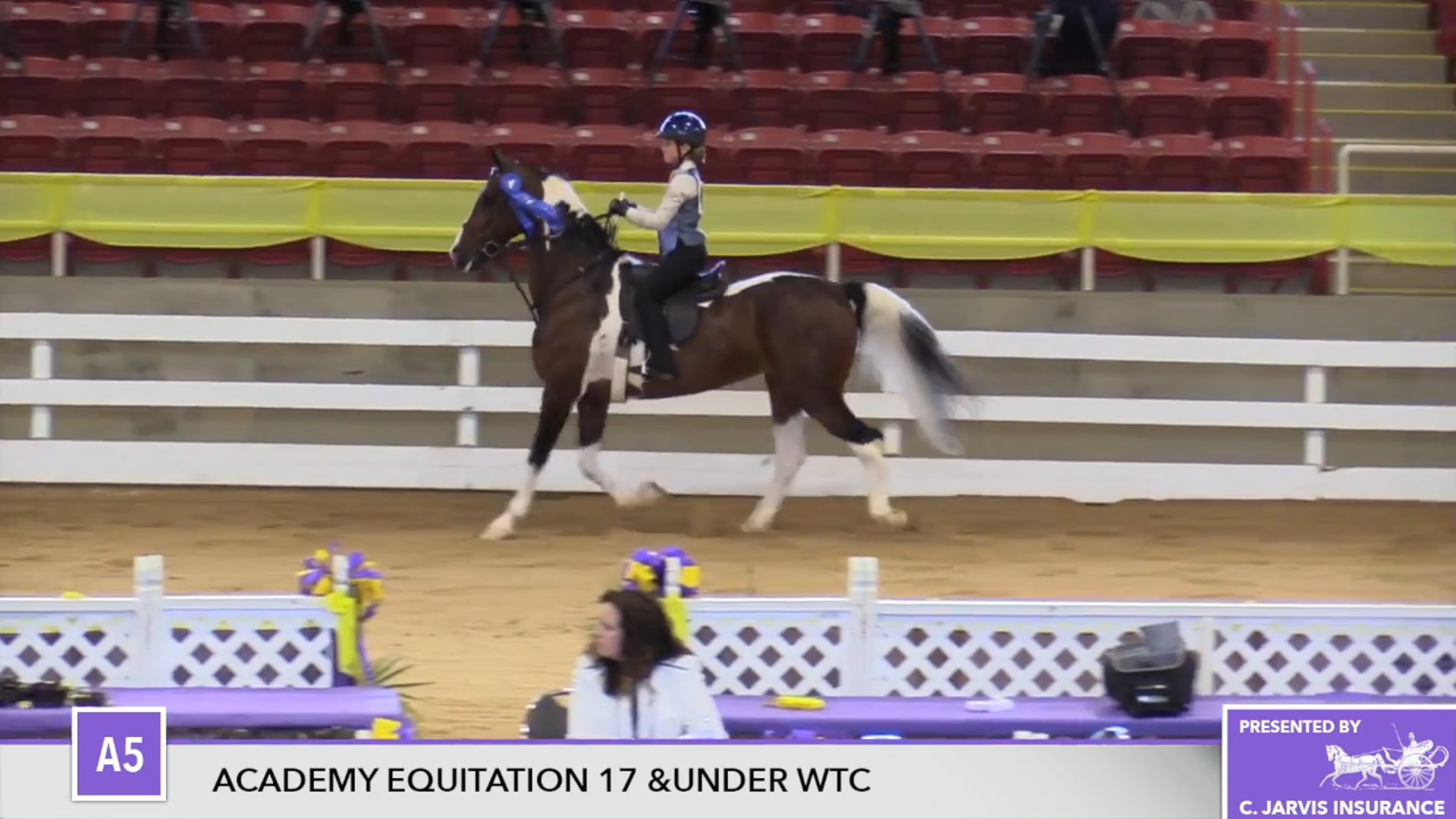 ALCB17 - Allison Maclean - Class A5