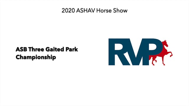ASHAV 2020 - Class 110 ASB Three Gait...