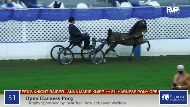 2020 AR - Class 51 Open Harness Pony