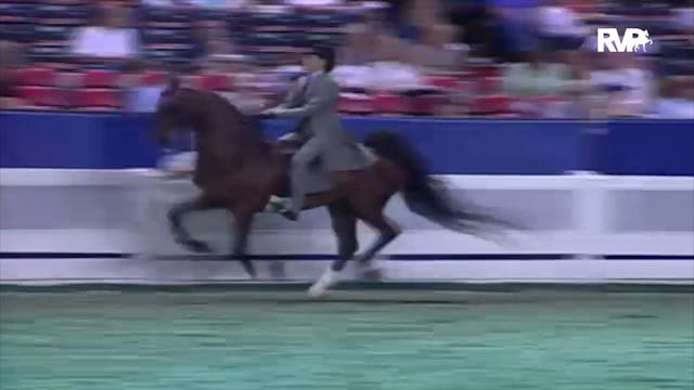 2000 WCHS Class 26 Three Gaited Pony ...