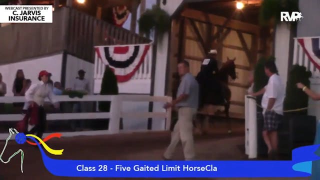 2015 SHS - Class 28 Five Gaited Limit...