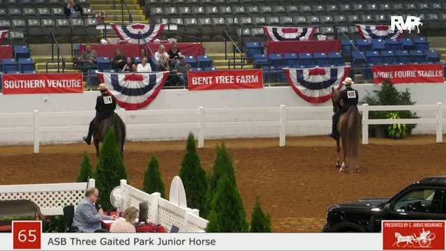 SC23 - Class 65 - Three Gaited Park -...