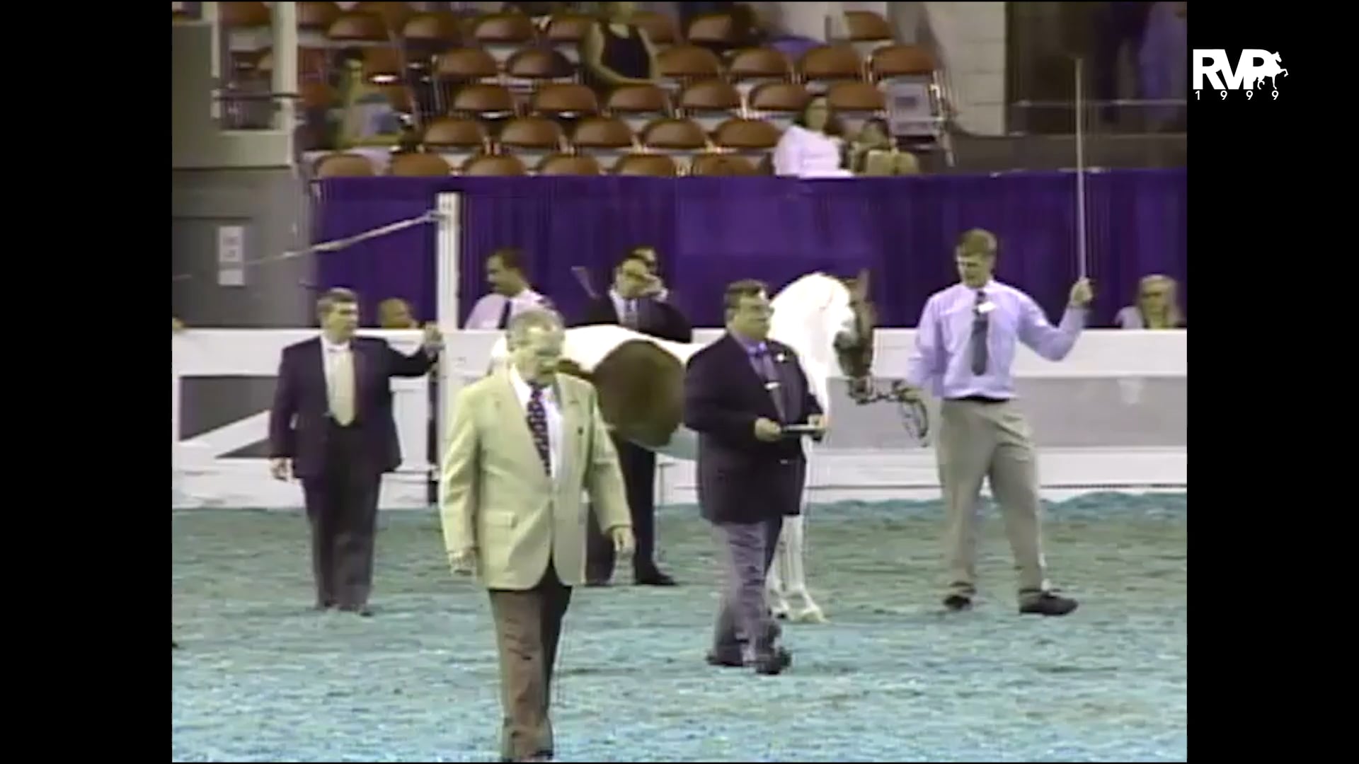 1999 WCHS - Class 23 ASHA Amateur Futurity Of Kentucky Two Year Old In Hand