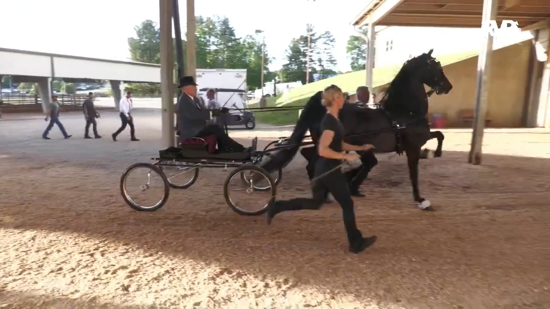 ASC25 - Class 116 - Amateur Fine Harness Championship