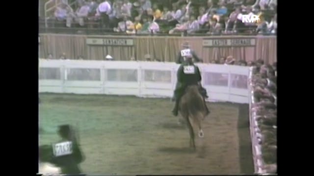 WCHS85 - 3 Year Old 3 Gaited Stake - ...