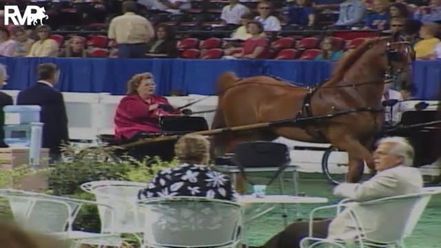 2004 World's Championship Horse Show ...