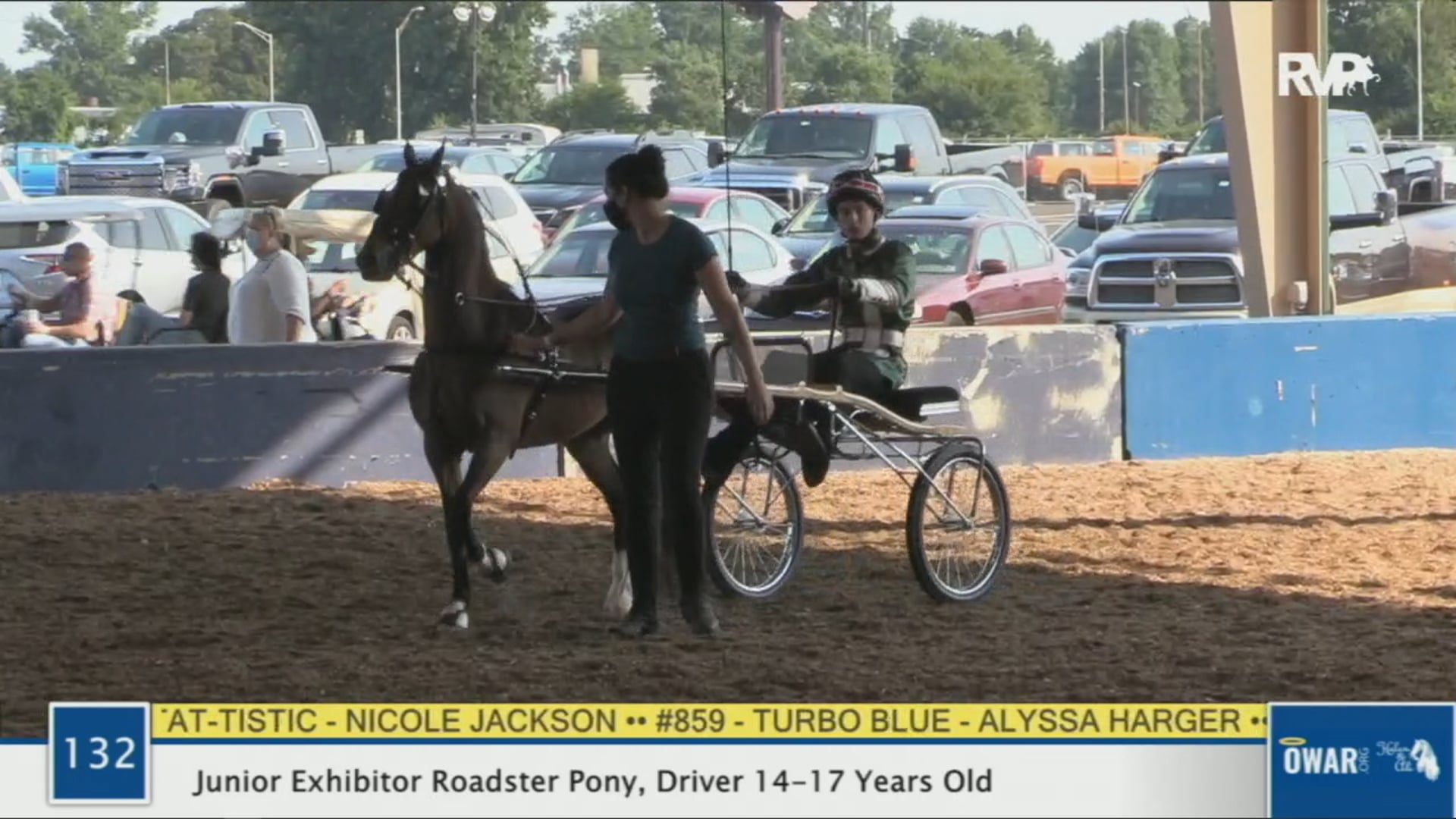 WCHS 2020 Class 132 - Junior Exhibitor Roadster Pony, Driver 14-17 Years Old
