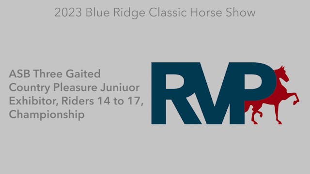 BR23 - Class 189 - ASB Three Gaited C...