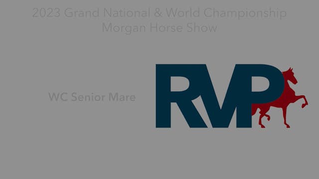MGN23 - Class 17 - WC Senior Mare