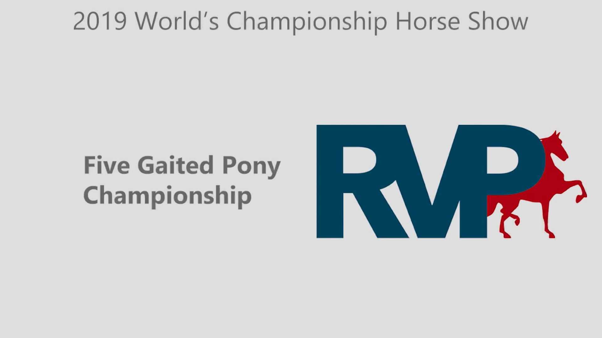 WCHS19 - Class 194 - Five Gaited Pony Championship