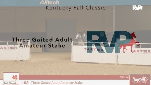 KFC24 - Class 108 - Three Gaited Adul...