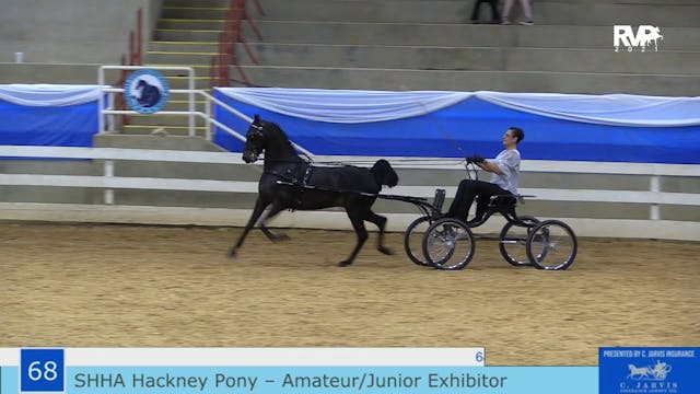 ASF21 - Class 68 - SHHA Hackney Pony ...