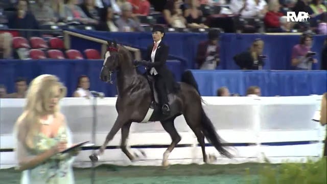 2012 WCHS - Class 55 Ladies Amateur F...