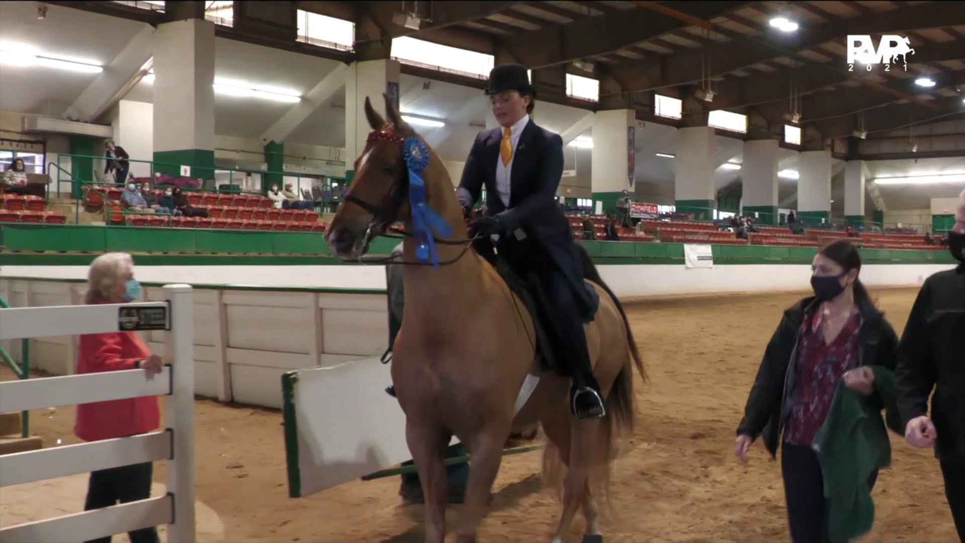 RSP21 - Class 5 - ASB Three Gaited Ladies