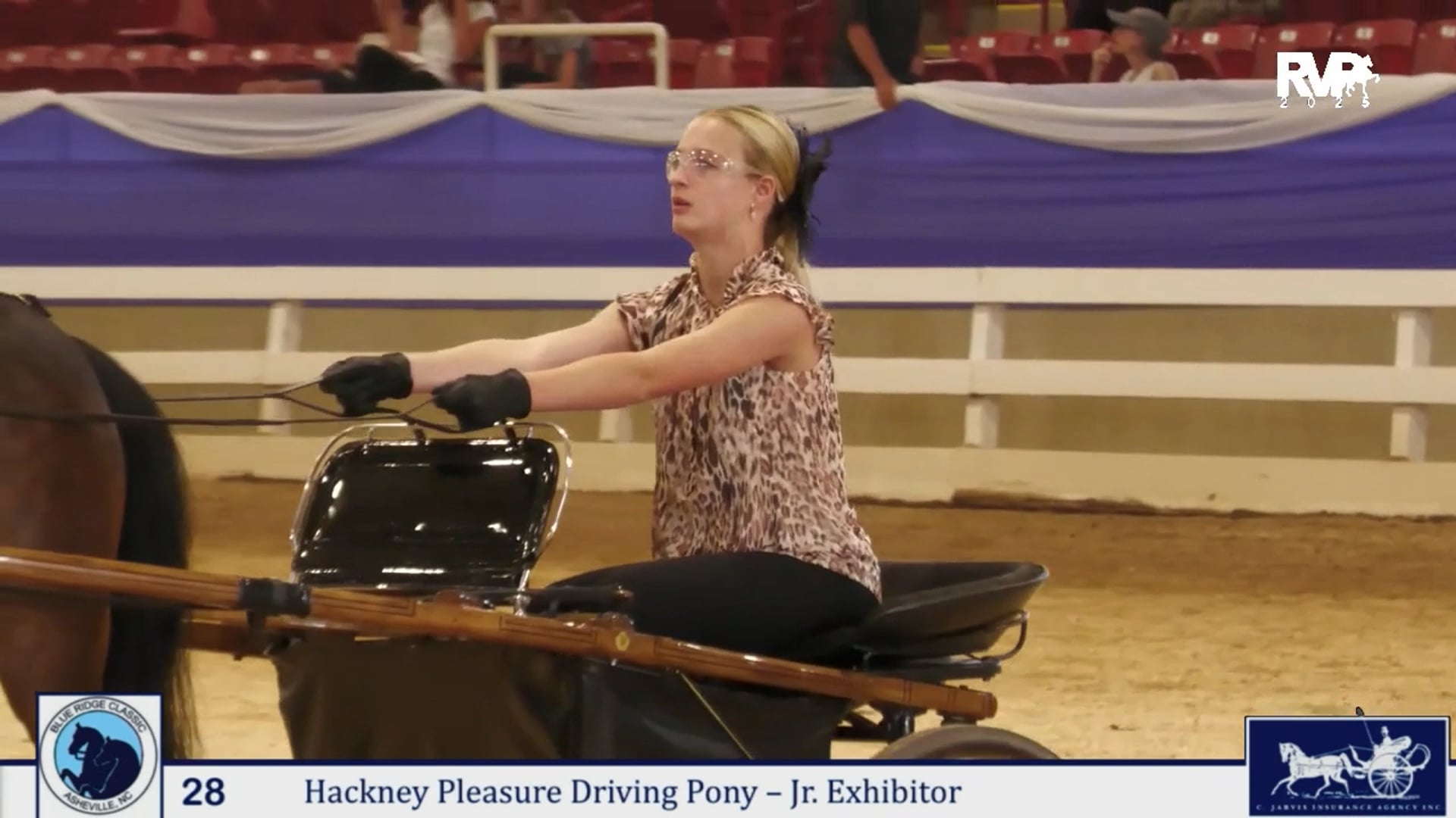 BRC25 - Class 28 - Hackney Pony Pleasure Driving Jr. Exhibitor