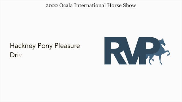 OIHS22 - Class 78 - Hackney Pony Plea...