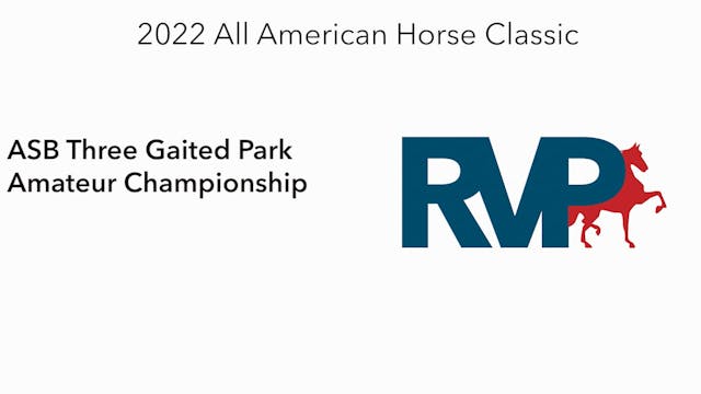 AAC22 - Class 155 -  ASB Three Gaited...