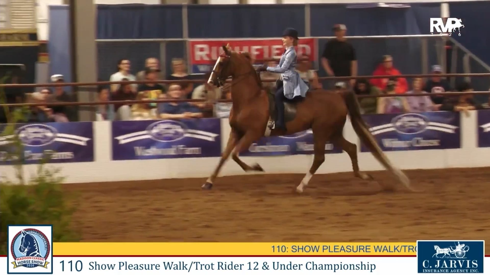 MC26 - Class 110 - Show Pleasure WT 12 & Under Championship