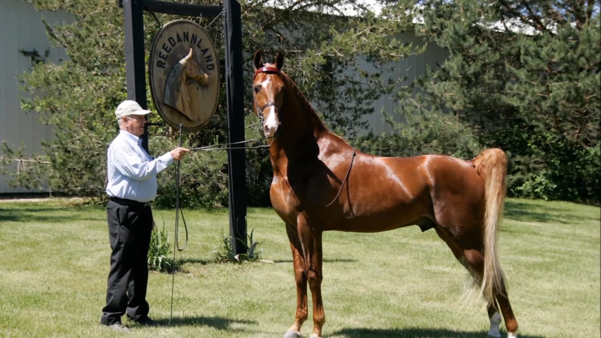 Dr. Alan R. Raun - Wing Commander Medal 2018