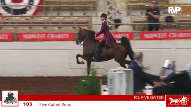 MW24 - Class 103 - Five Gaited Pony