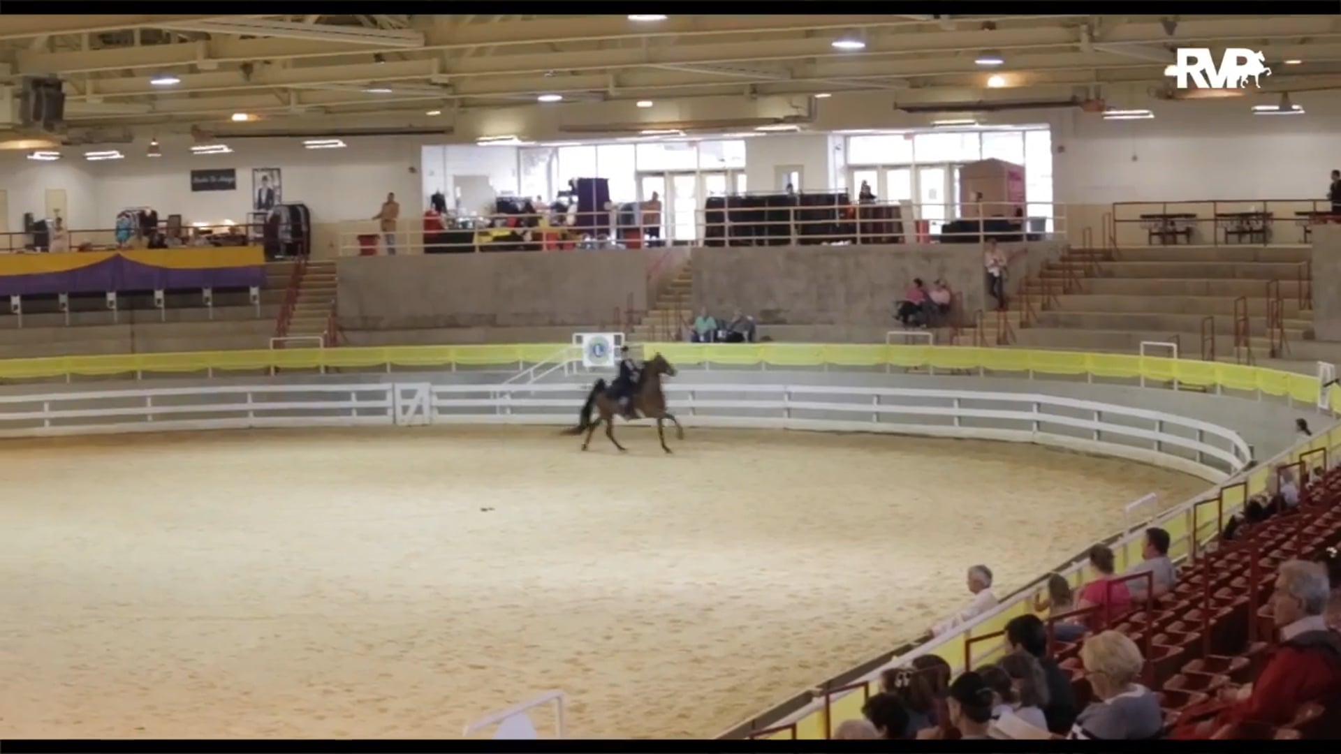 ALCB16 - Wednesday Night Highlights