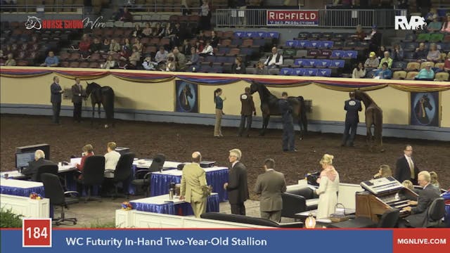 2015 MGN - Class 184 WC Futurity In-H...