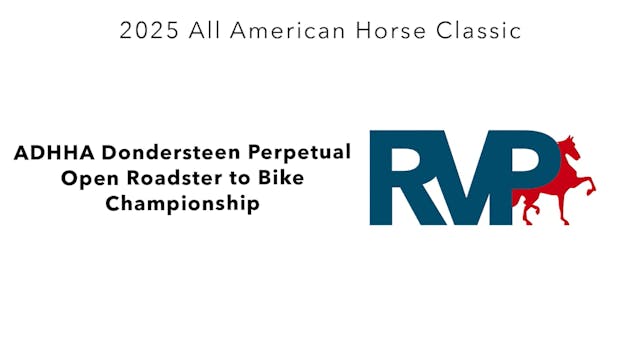 AAC25 - Class 161 - ADHHA Dondersteen...