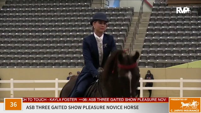 KFC 2020 - Class 36 Novice Three Gait...